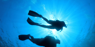 Les secrets pour débuter et profiter de la plongée sous-marine Les secrets pour débuter et profiter de la plongée sous-marine