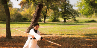 Découvrez les secrets du Kung-fu pour une discipline inébranlable Découvrez les secrets du Kung-fu pour une discipline inébranlable