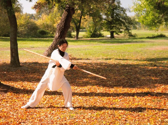 Découvrez les secrets du Kung-fu pour une discipline inébranlable