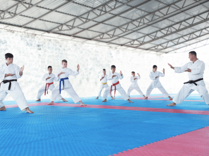 Maitrisez-Jiu-jitsu-conseils Maîtrisez l'art du Jiu-jitsu traditionnel avec nos conseils experts