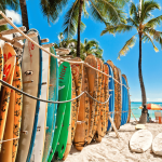Comment choisir la meilleure planche de surf pour débuter Comment choisir la meilleure planche de surf pour débuter