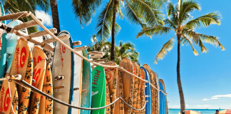 Comment choisir la meilleure planche de surf pour débuter Comment choisir la meilleure planche de surf pour débuter