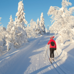 Techniques essentielles pour progresser rapidement en ski de fond Techniques essentielles pour progresser rapidement en ski de fond