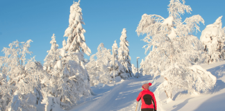 Techniques essentielles pour progresser rapidement en ski de fond Techniques essentielles pour progresser rapidement en ski de fond
