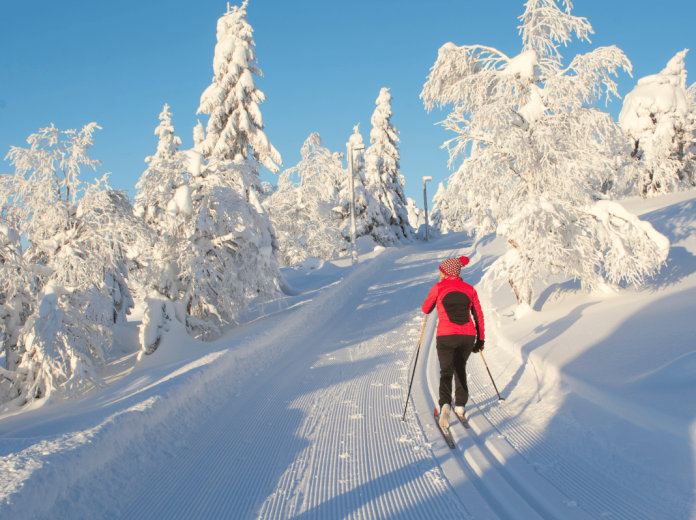 Techniques essentielles pour progresser rapidement en ski de fond
