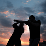 Krav Maga : Techniques et Conseils pour Débuter et Progresser Krav Maga : Techniques et Conseils pour Débuter et Progresser