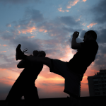 Découverte du Pencak Silat art martial alliant force et stratégie pencak silat art martial