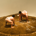 Sumo : Origines, Règles et Entraînement de Ce Sport Japonais sumo