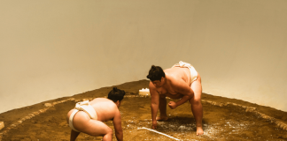 Sumo : Origines, Règles et Entraînement de Ce Sport Japonais sumo