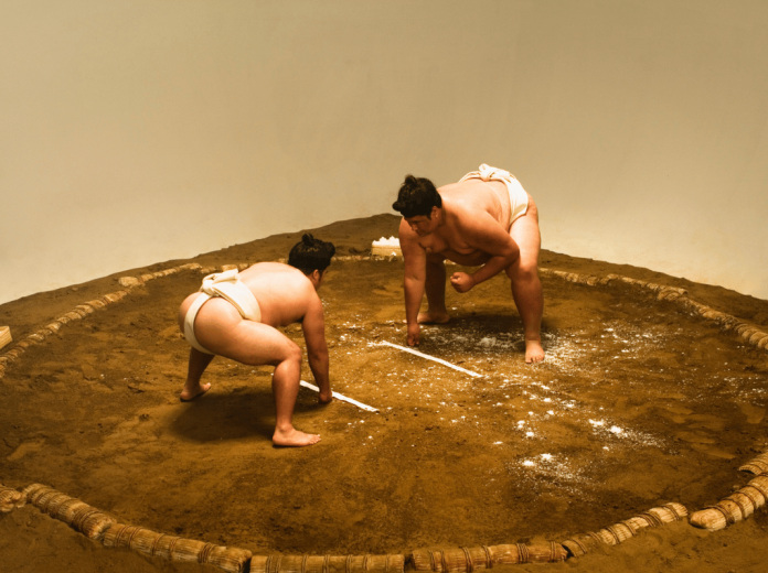 sumo sumo
