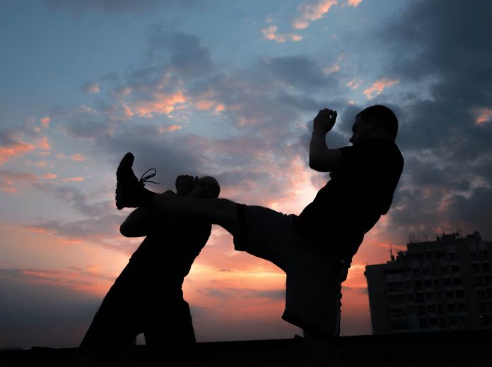 systema-russie-art-martial Systema Russie art martial