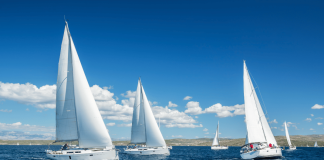 Tout savoir pour briller en compétition de voile compétitive compétition de voile compétitive