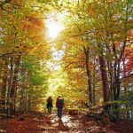 Évasion Nature : 5 Randonnées qui Revitalisent le Corps et l’Esprit Évasion Nature 5 Randonnées qui Revitalisent le Corps et l'Esprit